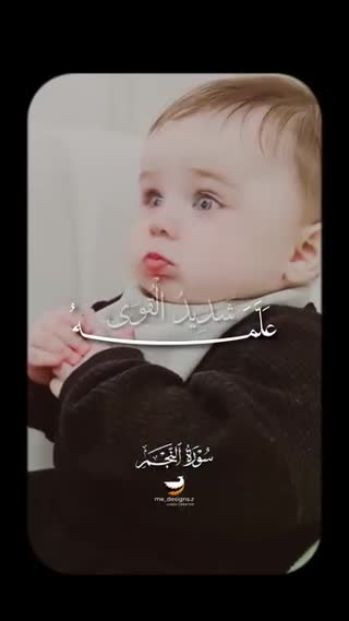 استاد محمود شحات انور