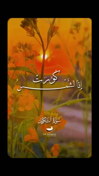 حامد علی زاده
