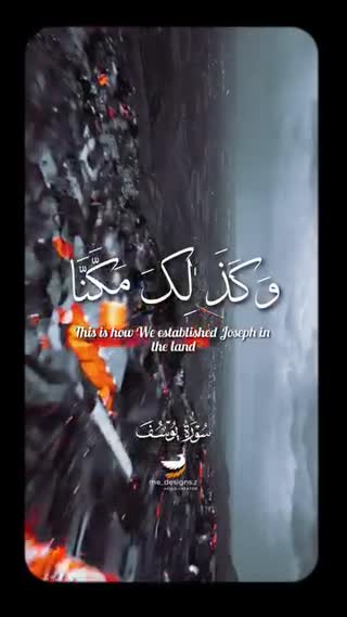 استاد محمود شحات انور