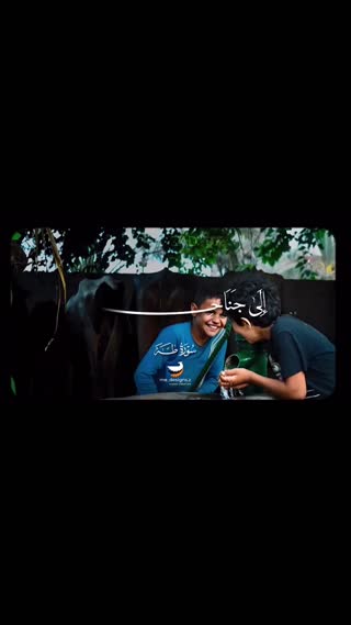 استاد محمود شحات انور