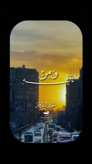 استاد محمد صدیق منشاوی