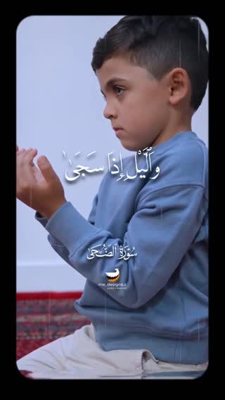 استاد محمود شحات انور