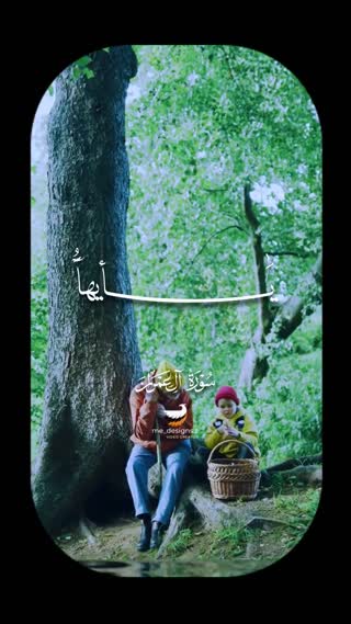 استاد محمود شحات انور