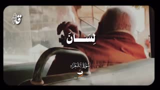 استاد محمد صدیق منشاوی