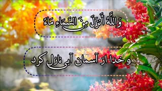 استاد ابوالعینین شعیشع