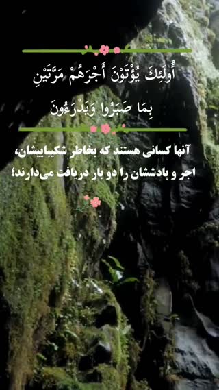 استاد محمد صدیق منشاوی
