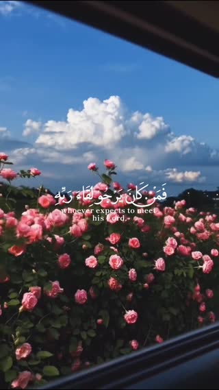 استاد محمد صدیق منشاوی