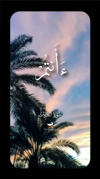 شیخ مصطفی اسماعیل