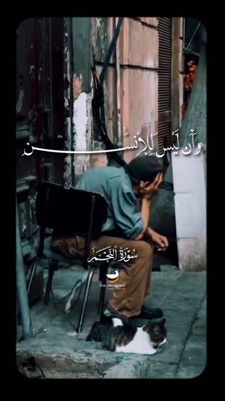 شیخ محمد ضیف