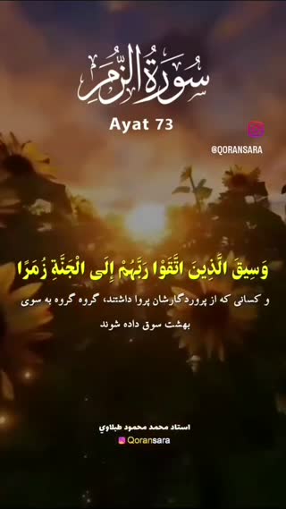 استقبال از بهشتیان