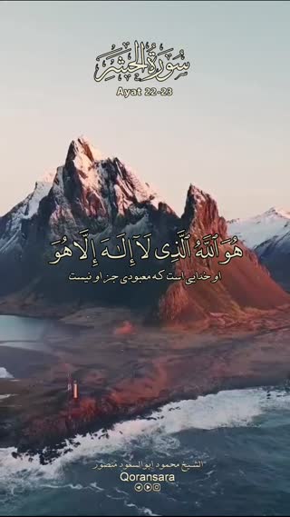 استاد محمود ابوالسعود منصور