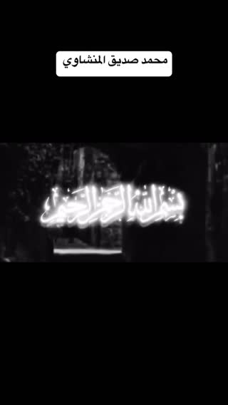 استاد محمد صدیق منشاوی