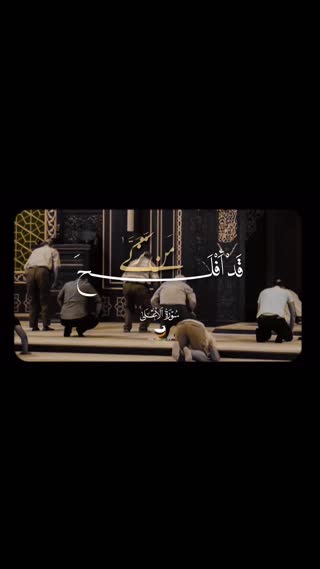استاد محمود شحات انور
