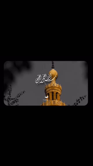 استاد شحات انور