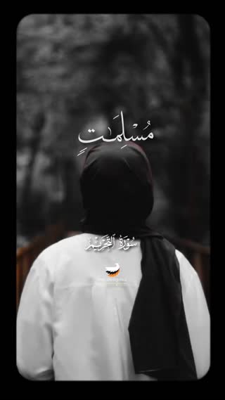 استاد محمود شحات انور