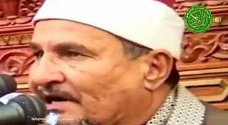 استاد محمد طنطاوی