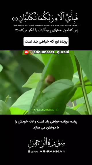 استاد عبدالباسط
