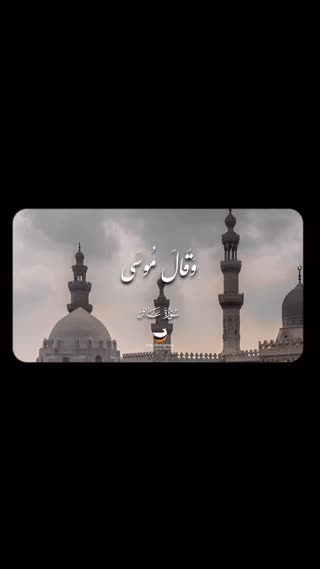 محمد احمد شبیب