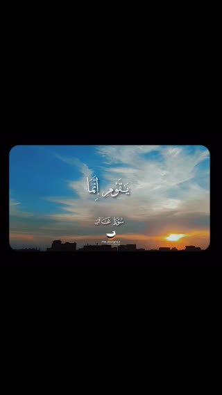 استاد محمد صدیق منشاوی