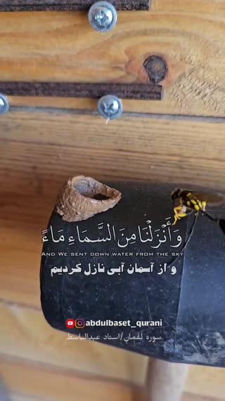 استاد عبدالباسط