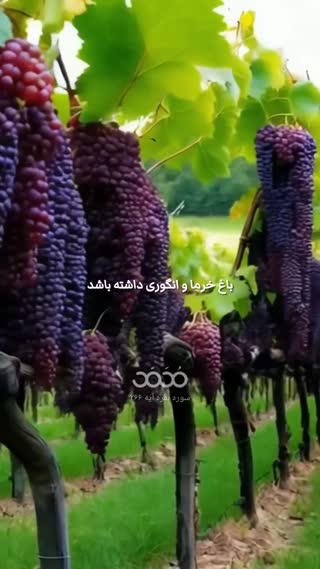 پیام قرآنی