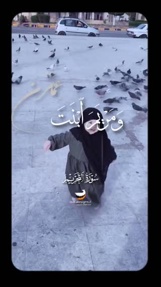 استاد محمود شحات انور