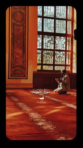 استاد محمود شحات انور