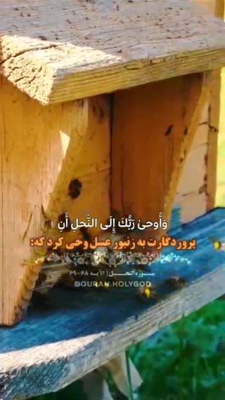 زنبور عسل در قرآن کریم