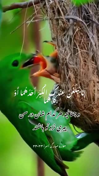 پیام قرآنی