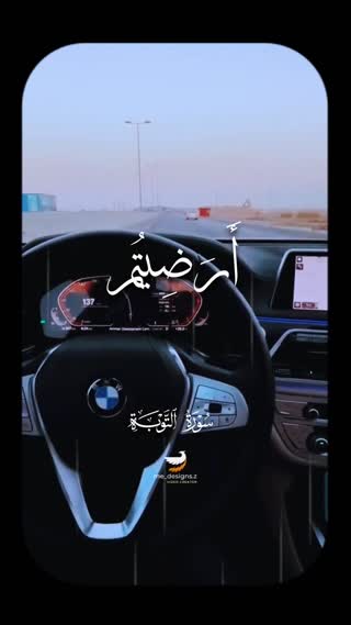 استاد محمد صدیق منشاوی