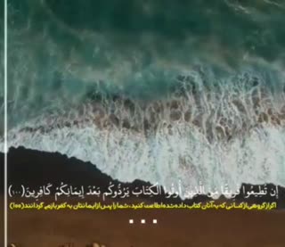 شحات انور