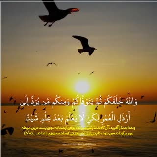 شاهکار تلاوتی از استاد شعبان عبدالعزیز صیّاد