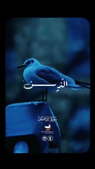شیخ محمد عبدالوهاب الطنطاوی