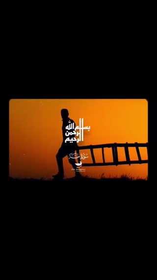 استاد محمود شحات انور