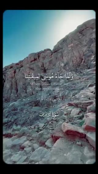 شیخ سعد الغامدی