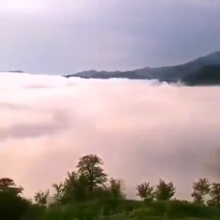 استاد عبدالباسط
