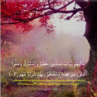 استاد منشاوی