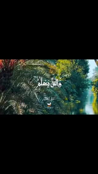 استاد محمود شحات انور