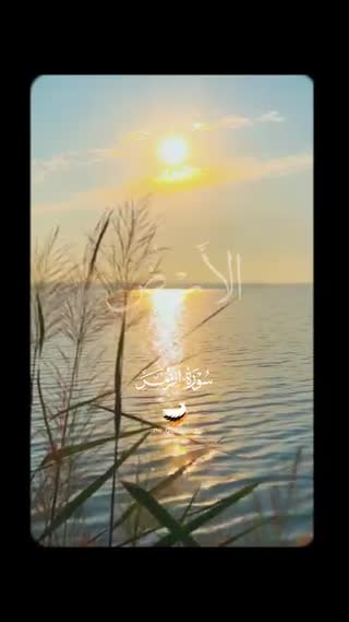 استاد محمود شحات انور