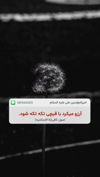سخن ناب مولایمان حضرت علی (ع)