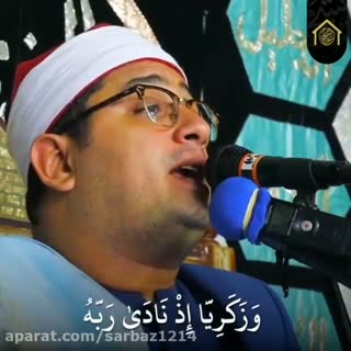فرازی روح نواز و دلنشین از استاد محمود شحات انور