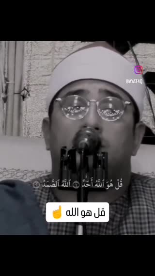 شیخ محمود شحات انور