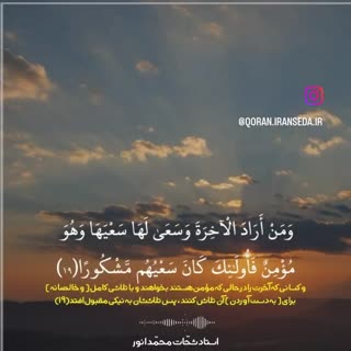 استاد محمد شحات انور