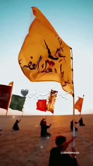 حسین اربعینه گلیب زینبون
