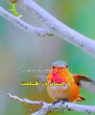 ترجمه دلنشین آیات ١۵ الی ١٧ سوره مبارکه بقره