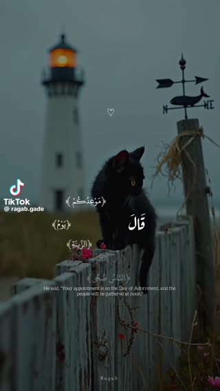 #حق 