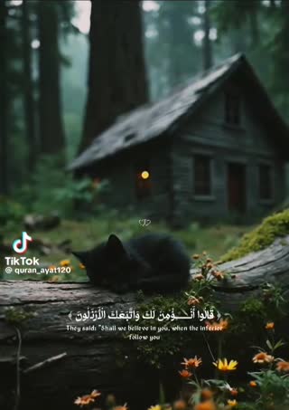 داستان نوح
