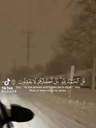 زندگی دنیایی
