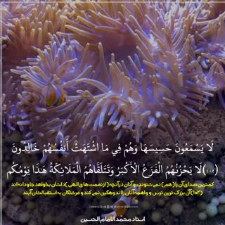 قاری کمتر شناخته شده