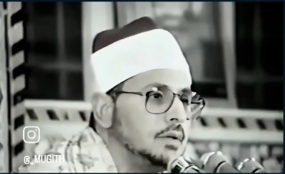 استاد محمد شحات انور